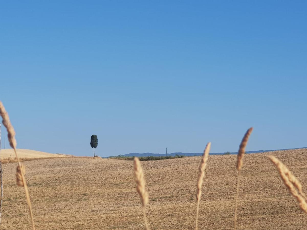Dimora In San Quirico D'Orcia Apartment Ngoại thất bức ảnh