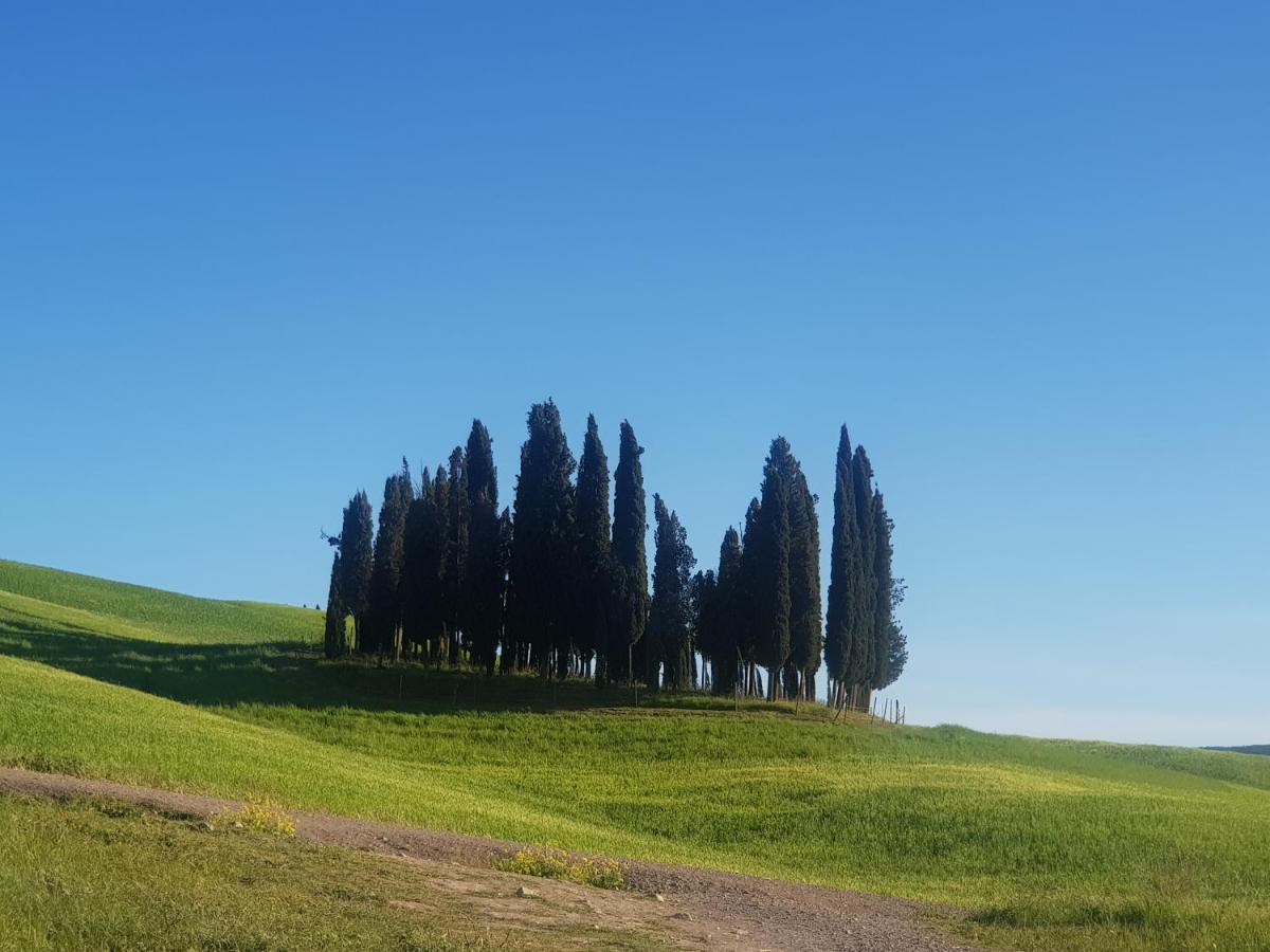 Dimora In San Quirico D'Orcia Apartment Ngoại thất bức ảnh